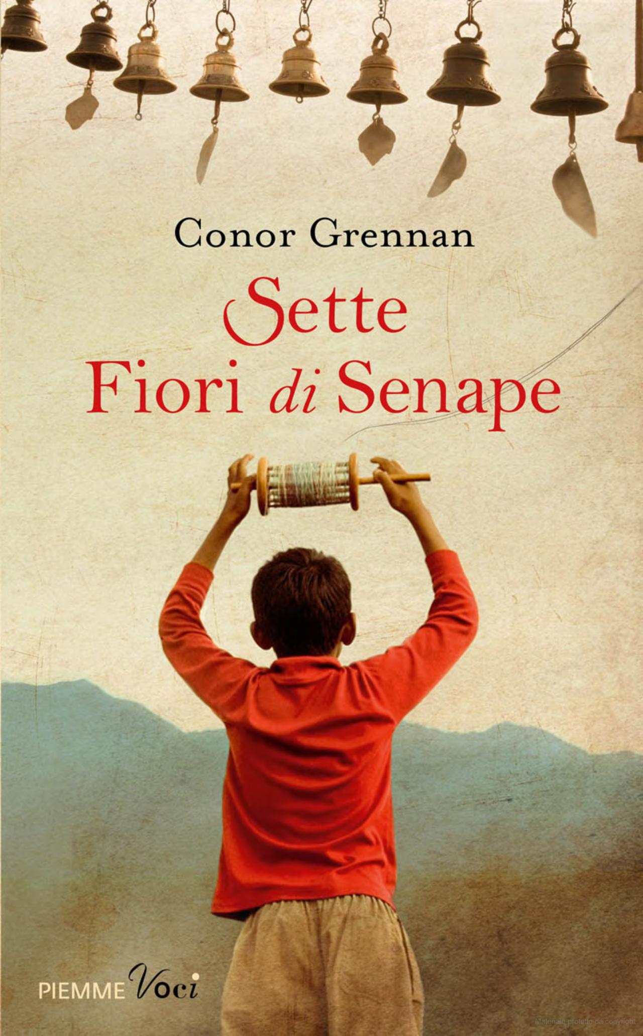 Sette fiori di senape - Conor Grennan