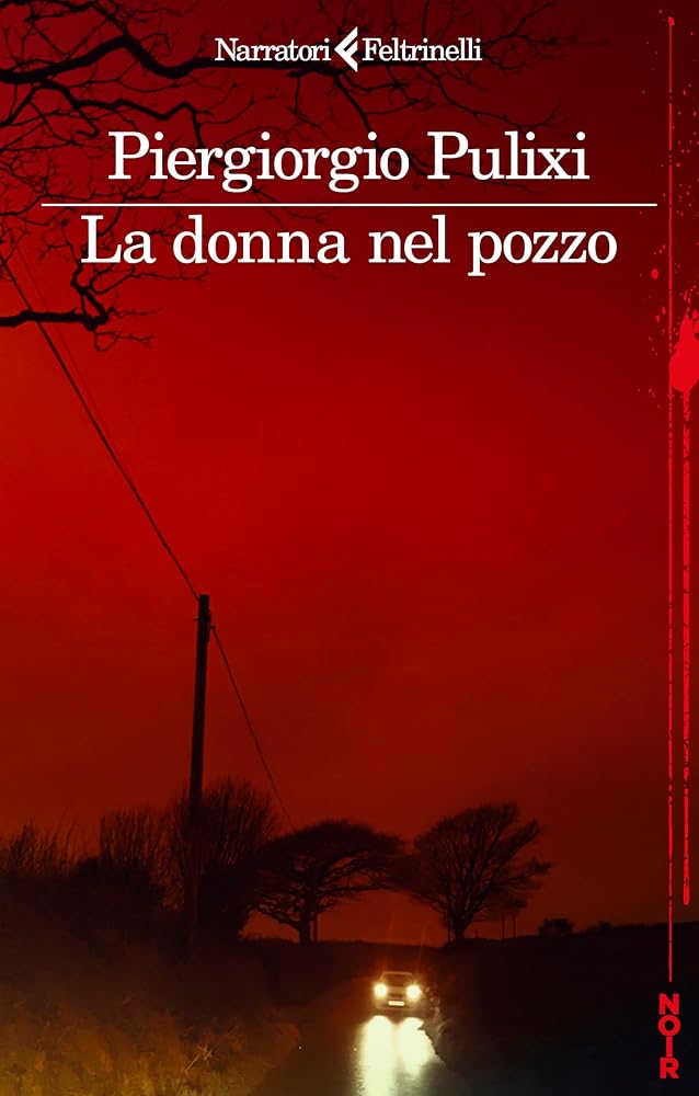 La donna nel pozzo cover image