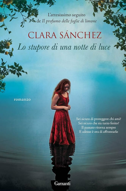 Lo stupore di una notte di luce cover image