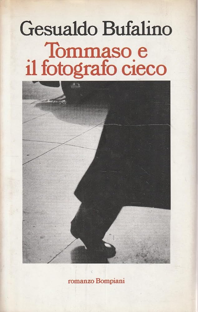 Tommaso e il fotografo cieco, ovvero, Il Patatràc (Italian Edition) cover image