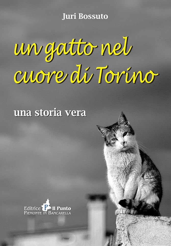 Un gatto nel cuore di Torino. Una storia vera cover image