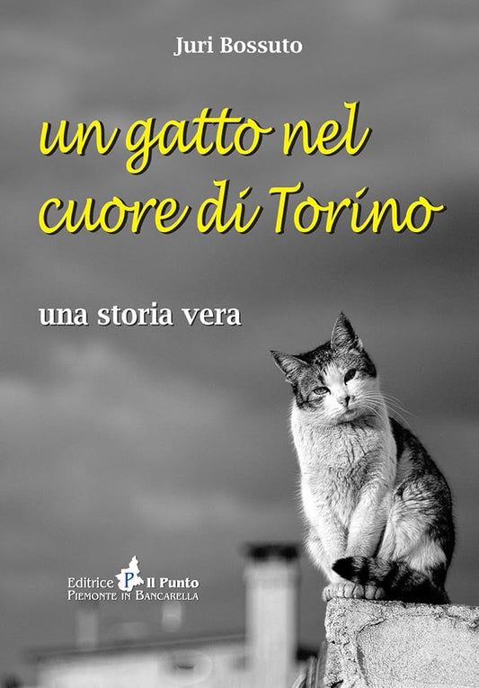 Un gatto nel cuore di Torino. Una storia vera cover image