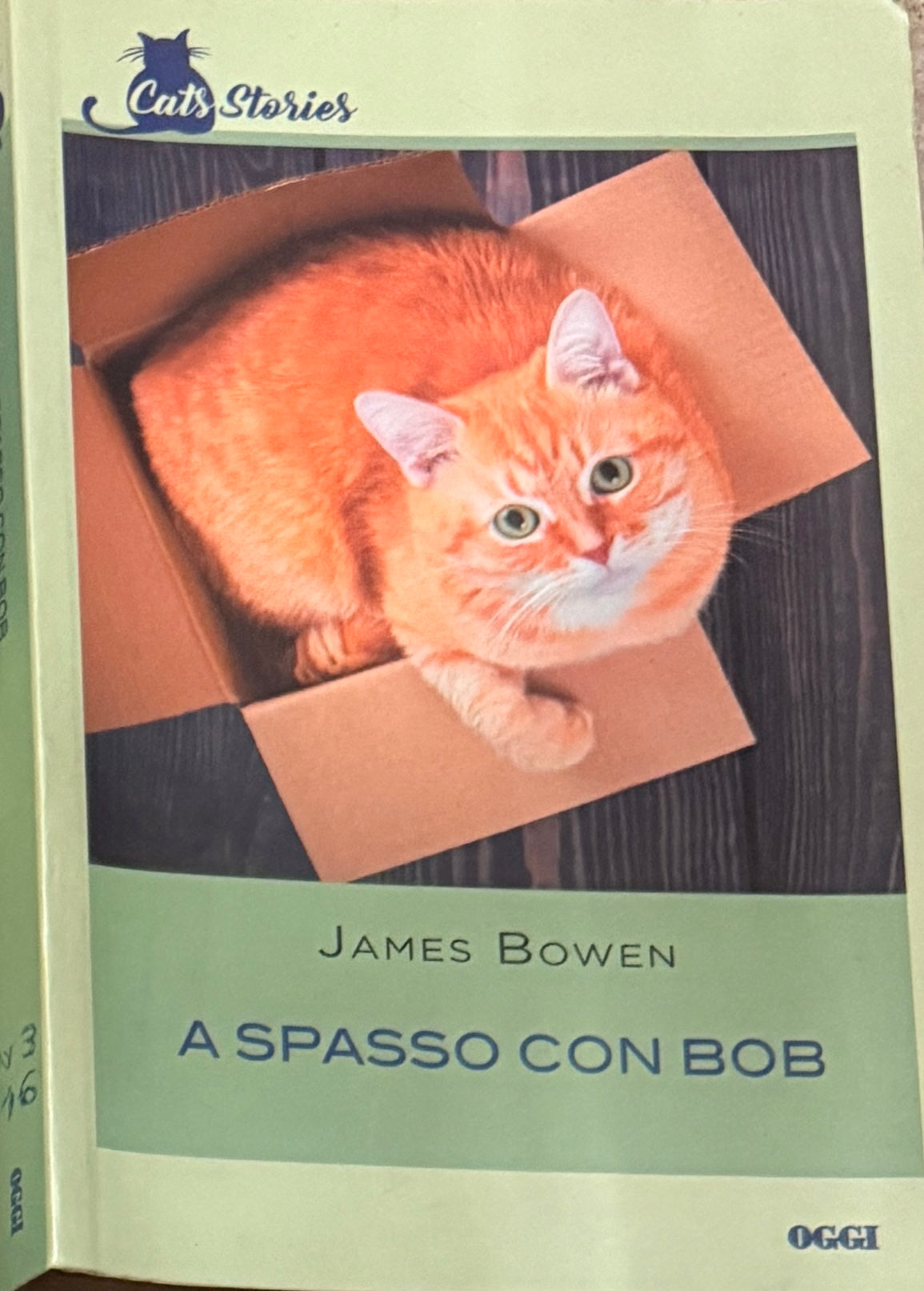 A spasso con Bob - James Bowen
