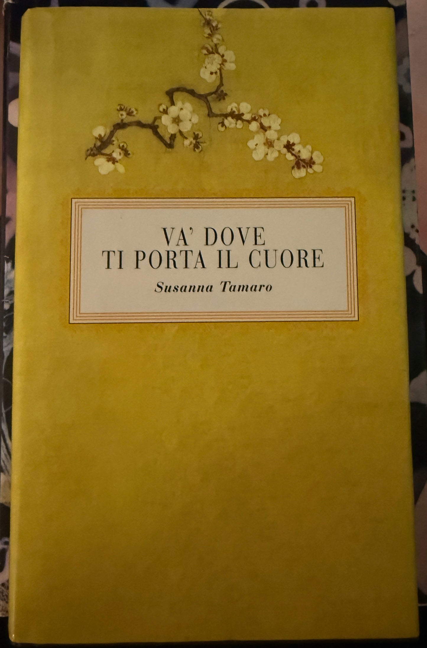 Va' dove ti porta il cuore - Susanna Tamaro