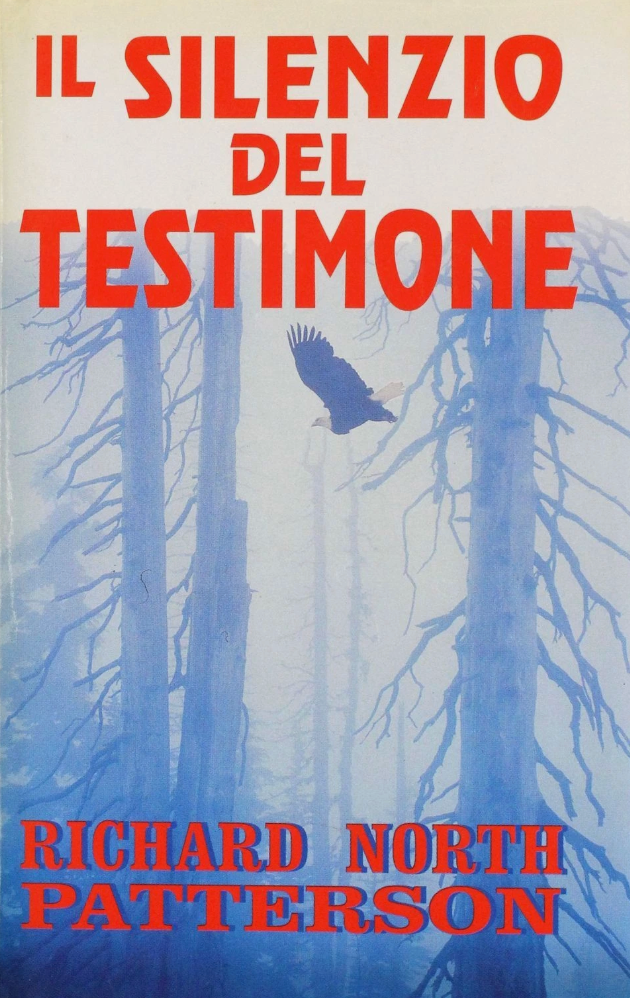 Il silenzio del testimone - RIchard North Patterson