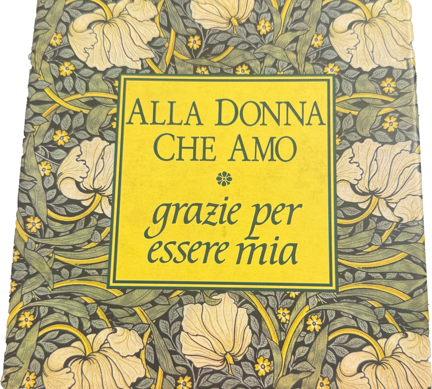 All'uomo che amo: grazie per essere mio - Tamara Nikuradse / Alla donna che amo: grazie per essere mia - Scott Matthews