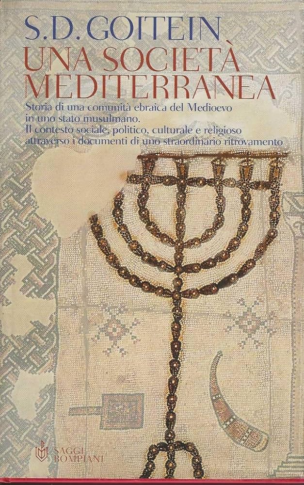 Una società mediterranea - S. D. Goitein