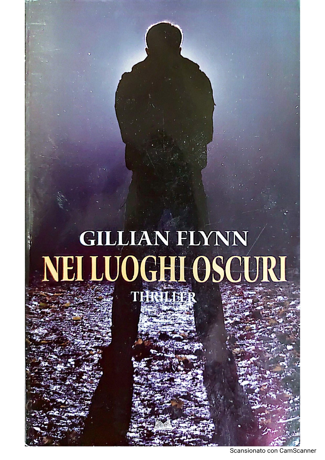 Nei luoghi oscuri - Gillian Flynn