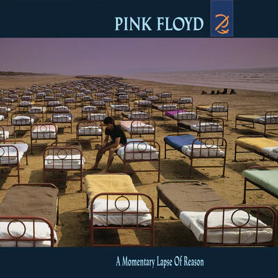 LP vinile Pink Floyd – A Momentary Lapse of Reason