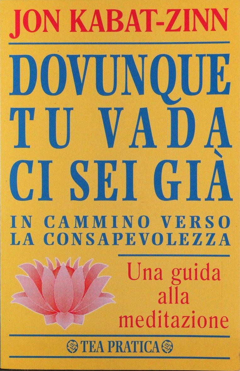 Dovunque tu vada ci sei già in cammino verso la consapevolezza - Jon Kabat-Zinn