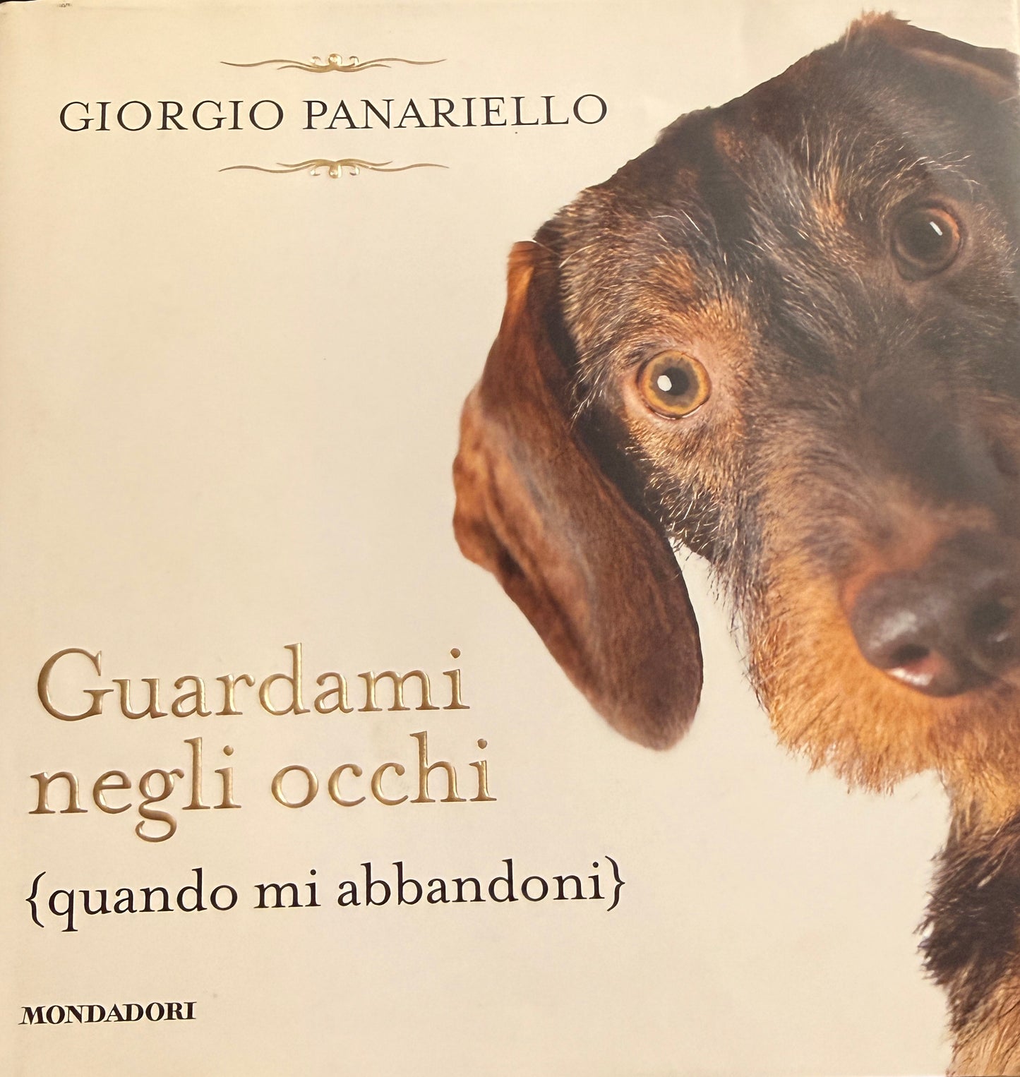 Guardami negli occhi (quando mi abbandoni) - Giorgio Panariello