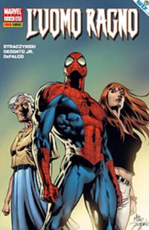 Fumetto L'Uomo Ragno Spider-man dal nr 380 al 615