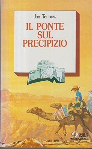 Il ponte sul precipizio - Jan Terlouw