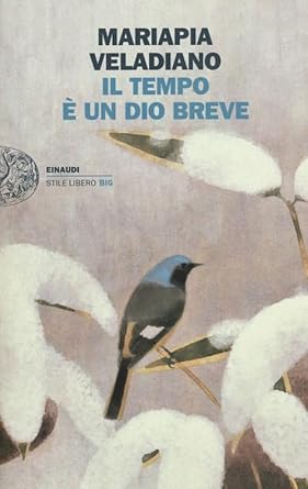 Il tempo e' un Dio breve (Italian Edition) cover image