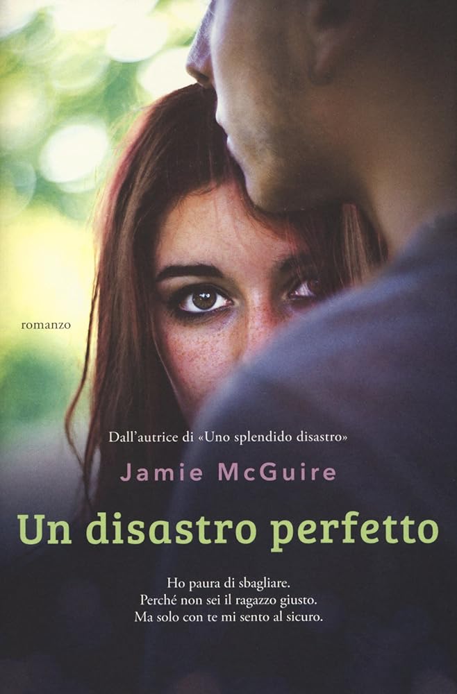 Un disastro perfetto cover image