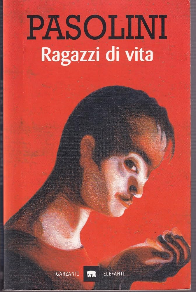 Ragazzi Di Vita (Italian Edition) cover image