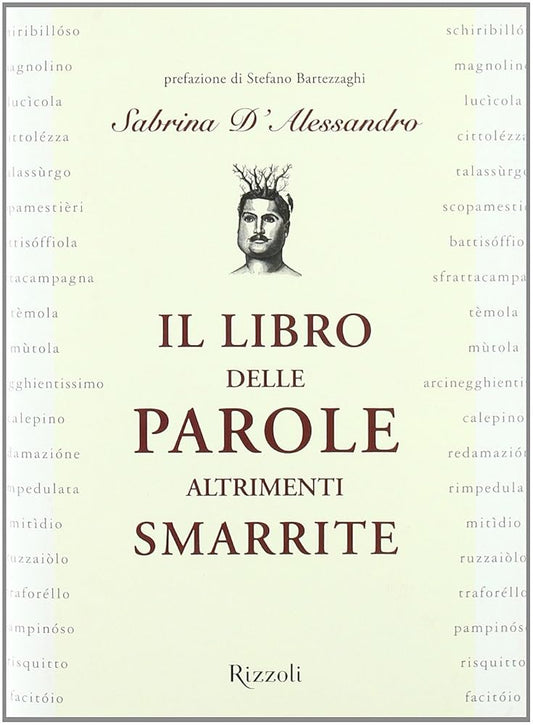 Il libro delle parole altrimenti smarrite cover image