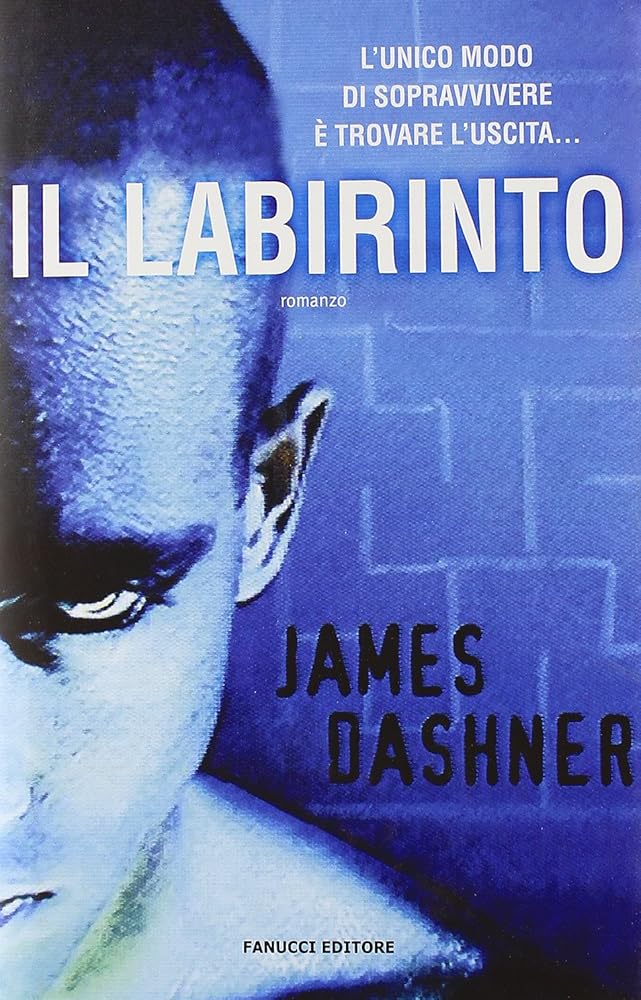 Il labirinto cover image