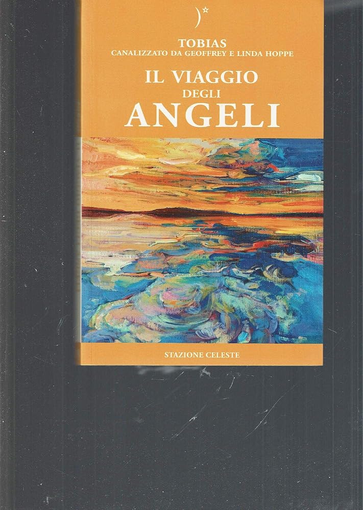 Il viaggio degli angeli cover image