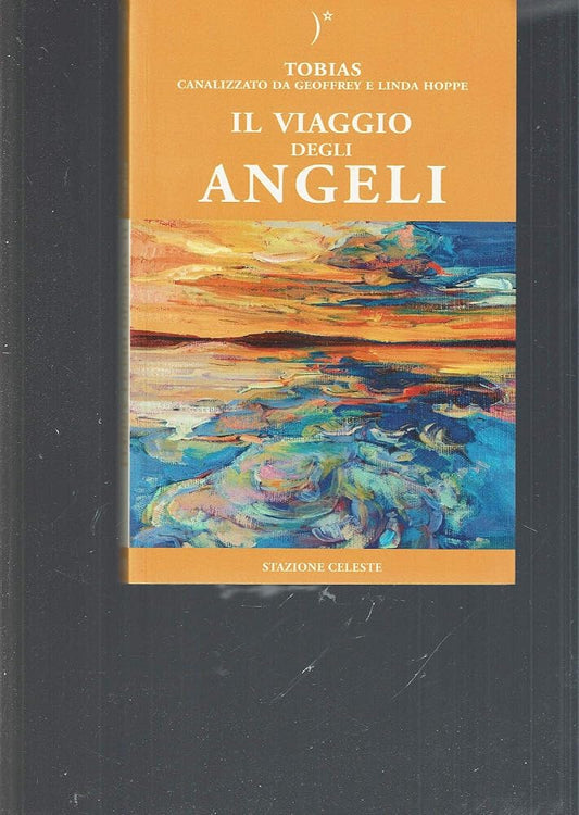 Il viaggio degli angeli cover image