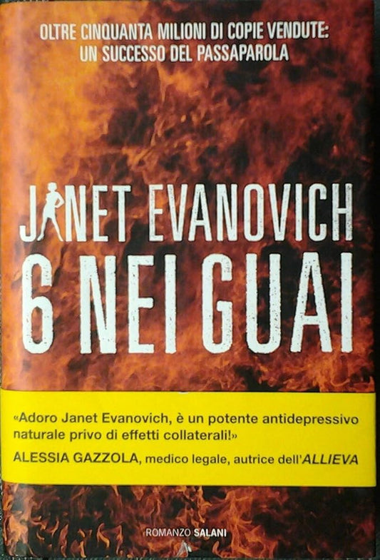 6 nei guai cover image