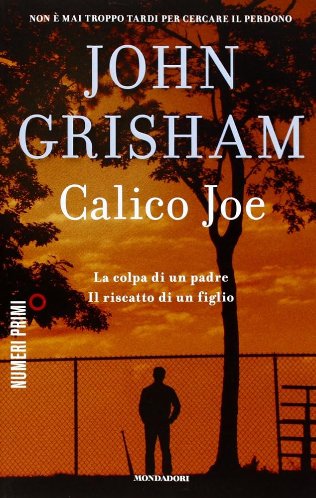 Calico Joe (Italian Edition) cover image