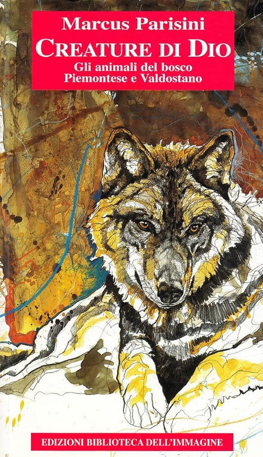 Creature di Dio. Gli animali del bosco piemontese e valdostano cover image
