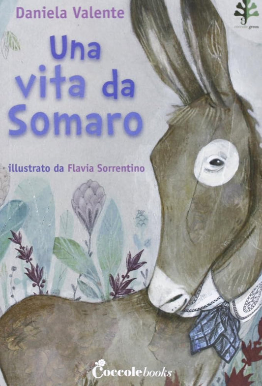 Una vita da somaro cover image