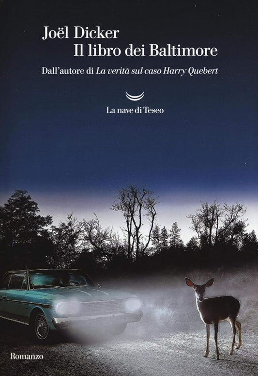 Il libro dei Baltimore cover image