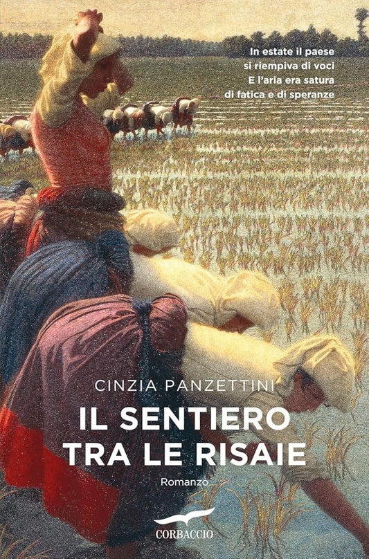 Il sentiero tra le risaie cover image