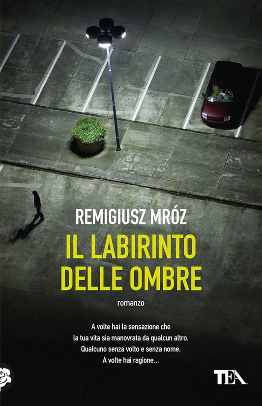 Il labirinto delle ombre - Remigiusz Mróz