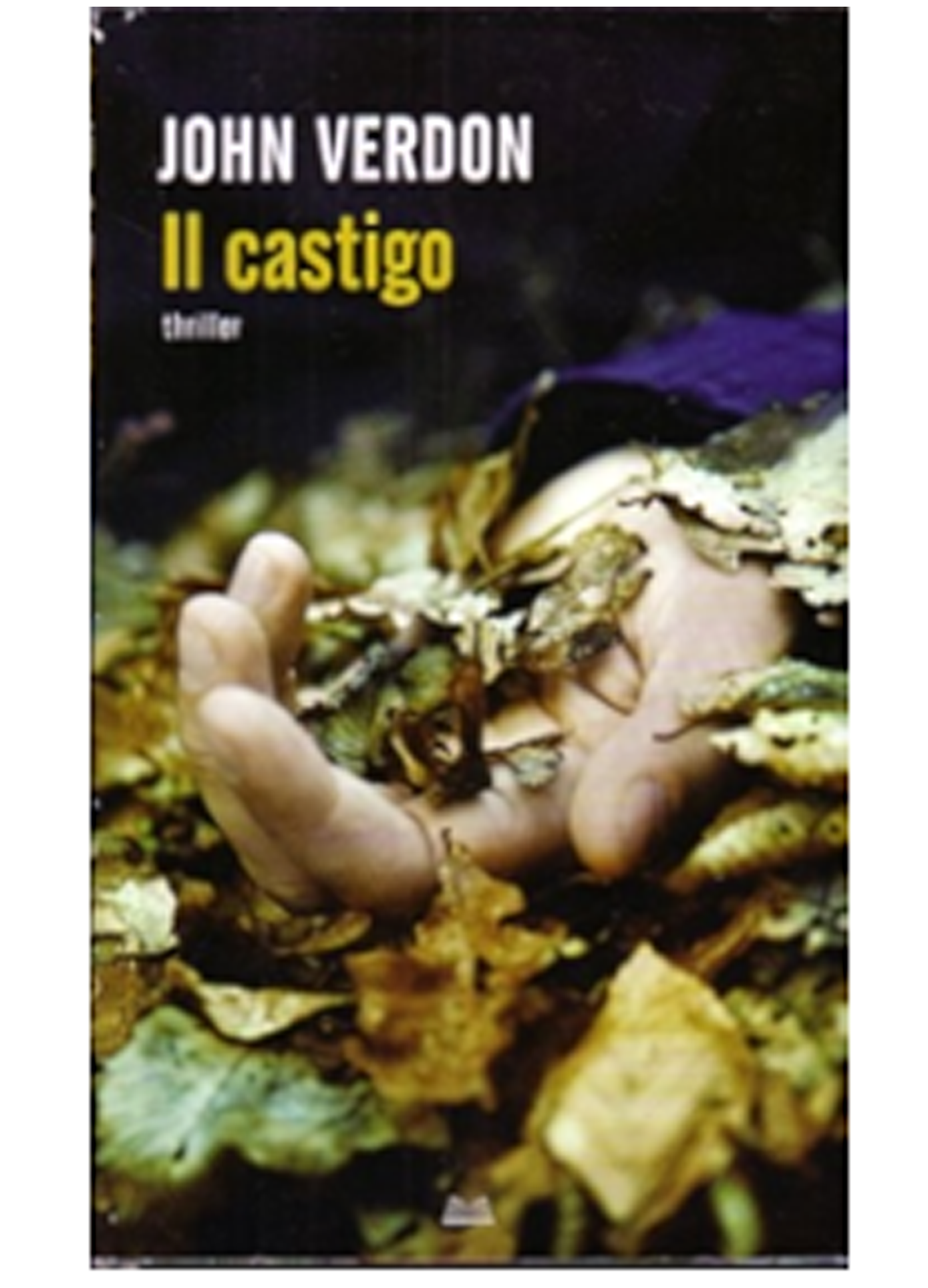 Il castigo - John Verdon