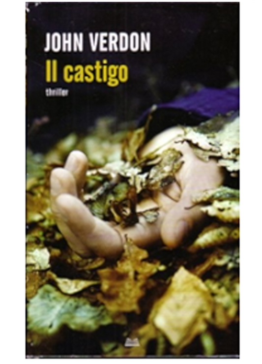 Il castigo - John Verdon