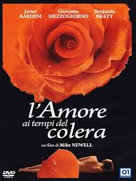 Dvd L'amore ai tempi del colera