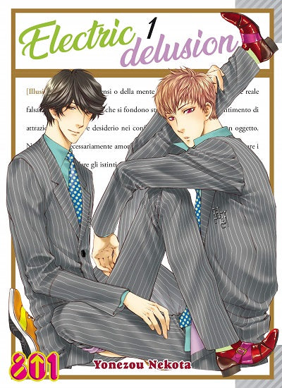 Serie completa manga: ELECTRIC DELUSION 4 volumi