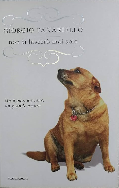 Non ti lascerò mai solo - Giorgio Panariello