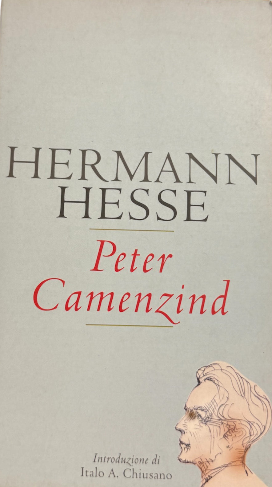Peter Camenzind - Hermann Hesse