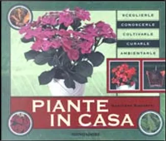 Piante in casa - Gualtiero Simonetti