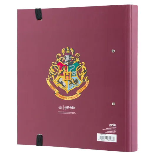 RACCOGLITORE 2 ANELLI HARRY POTTER 9 3/4